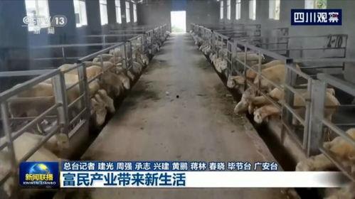 广安生活爆料事件视频最新,最新视频揭露惊人真相！