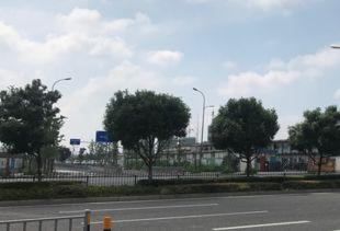 广德湖北路最新爆料,揭秘神秘项目进展与周边影响