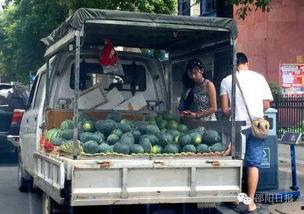 邵阳最新吃瓜爆料事件真相,揭秘真相，还原事件始末