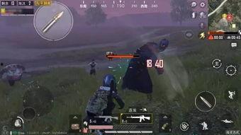 和平精英最新爆料入口,神秘入口解锁，全新内容即将揭晓！