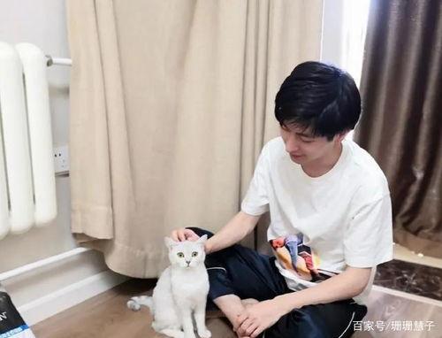 爆料杨洋女友视频大全最新