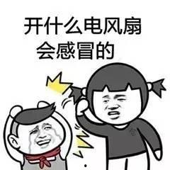 暑假最新爆料事件视频大全,热点事件回顾与解读